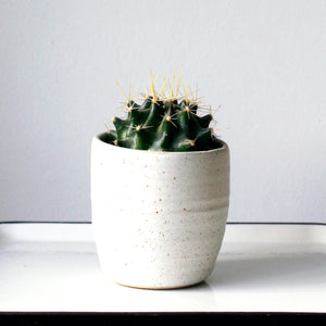 this egg shell white plant pot is perfect for the sandinavian nordic dainish lining style ivory glaze 