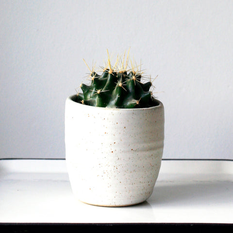 this egg shell white plant pot is perfect for the sandinavian nordic dainish lining style ivory glaze 