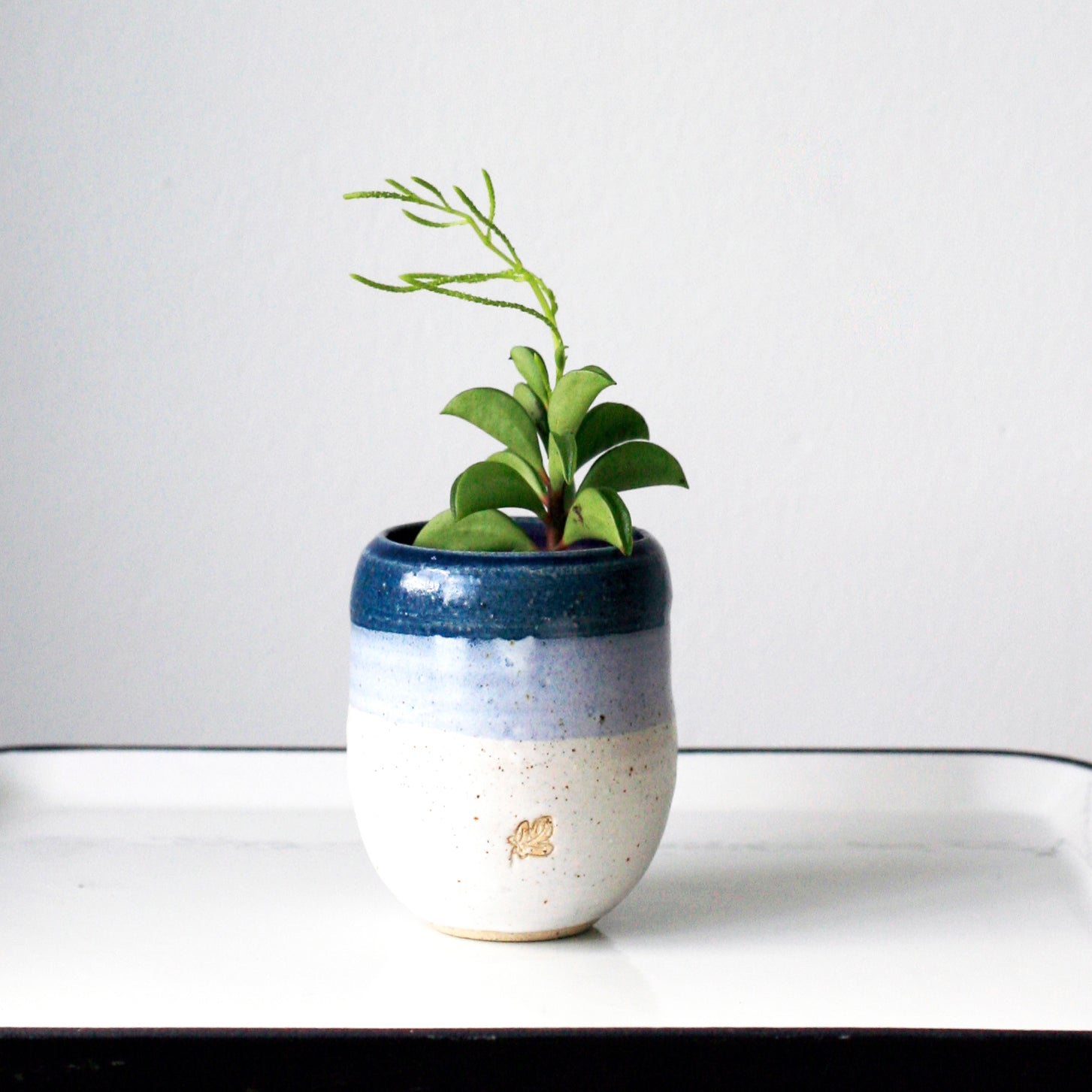 small pot white and blue plant pot cacti pot hand made ceramic pottery clay succlent pot minimal pretty pot